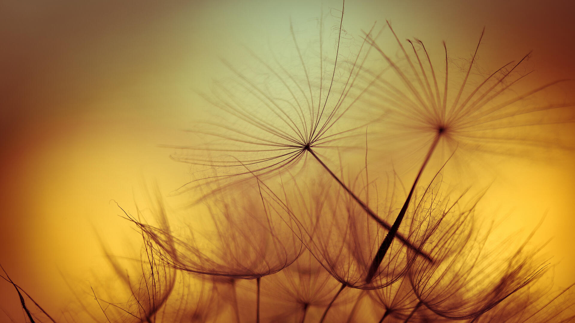 Praise for Re:New Hypnotherapy Praise for Re:New Hypnosis
